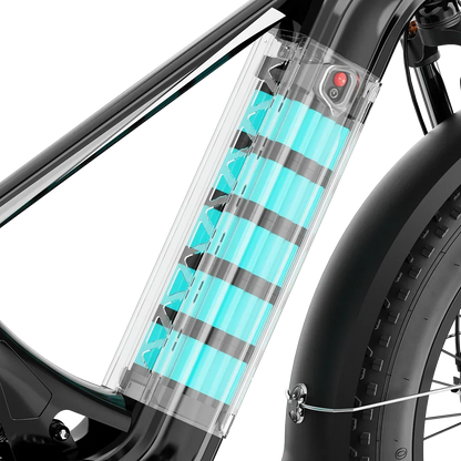 Aipas® Ebike Combo Sale M2 Pro*2