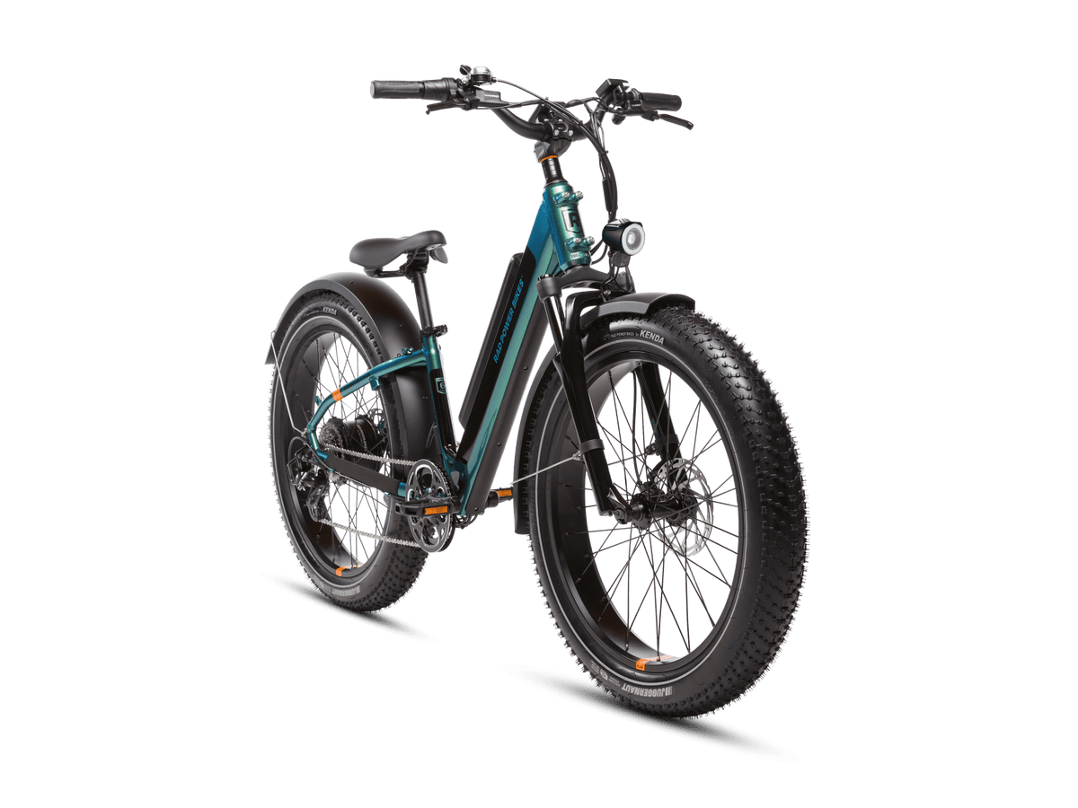 RadRover™ 6 Plus Electric Fat Tire Bike