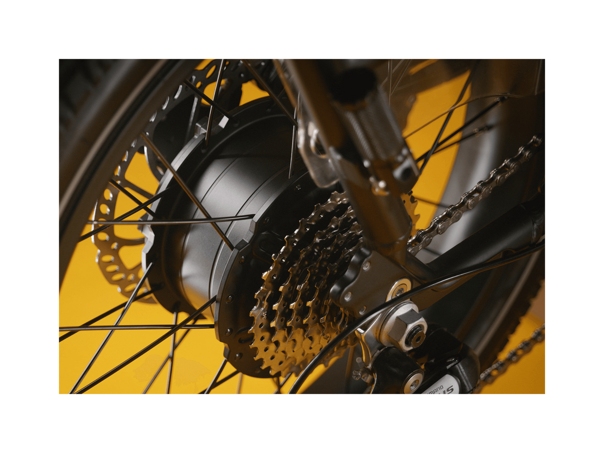 RadRunner™ Max Electric Cargo Utility Bike