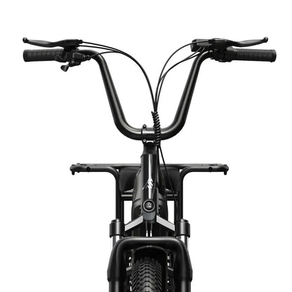 TST® Carrier 20'' Cargo Electric Bike