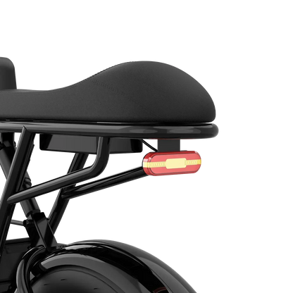 Aipas®V2 Moped