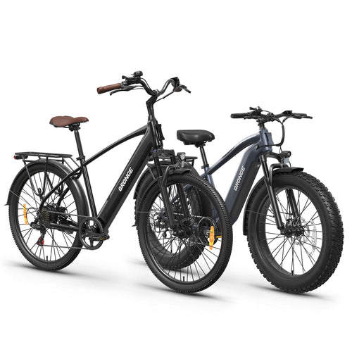 Meteors+Thunder Ebike