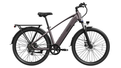 Discoverer*2 Ebike