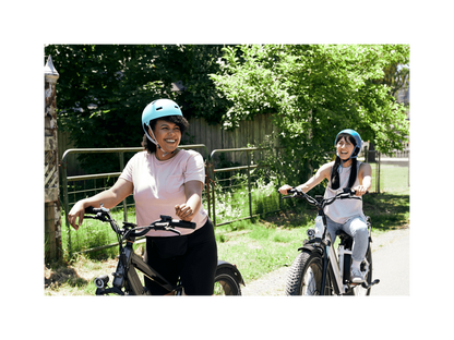 RadRover™ 6 Plus Electric Fat Tire Bike