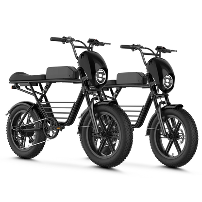 Aipas® Ebike Combo Sale V2*2
